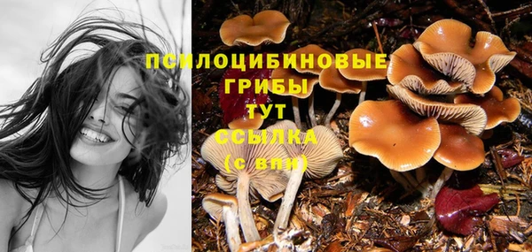соль ск Зеленодольск