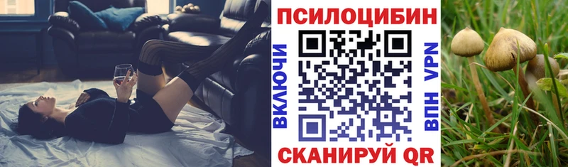 omg зеркало  купить   Иннополис  Галлюциногенные грибы Magic Shrooms 